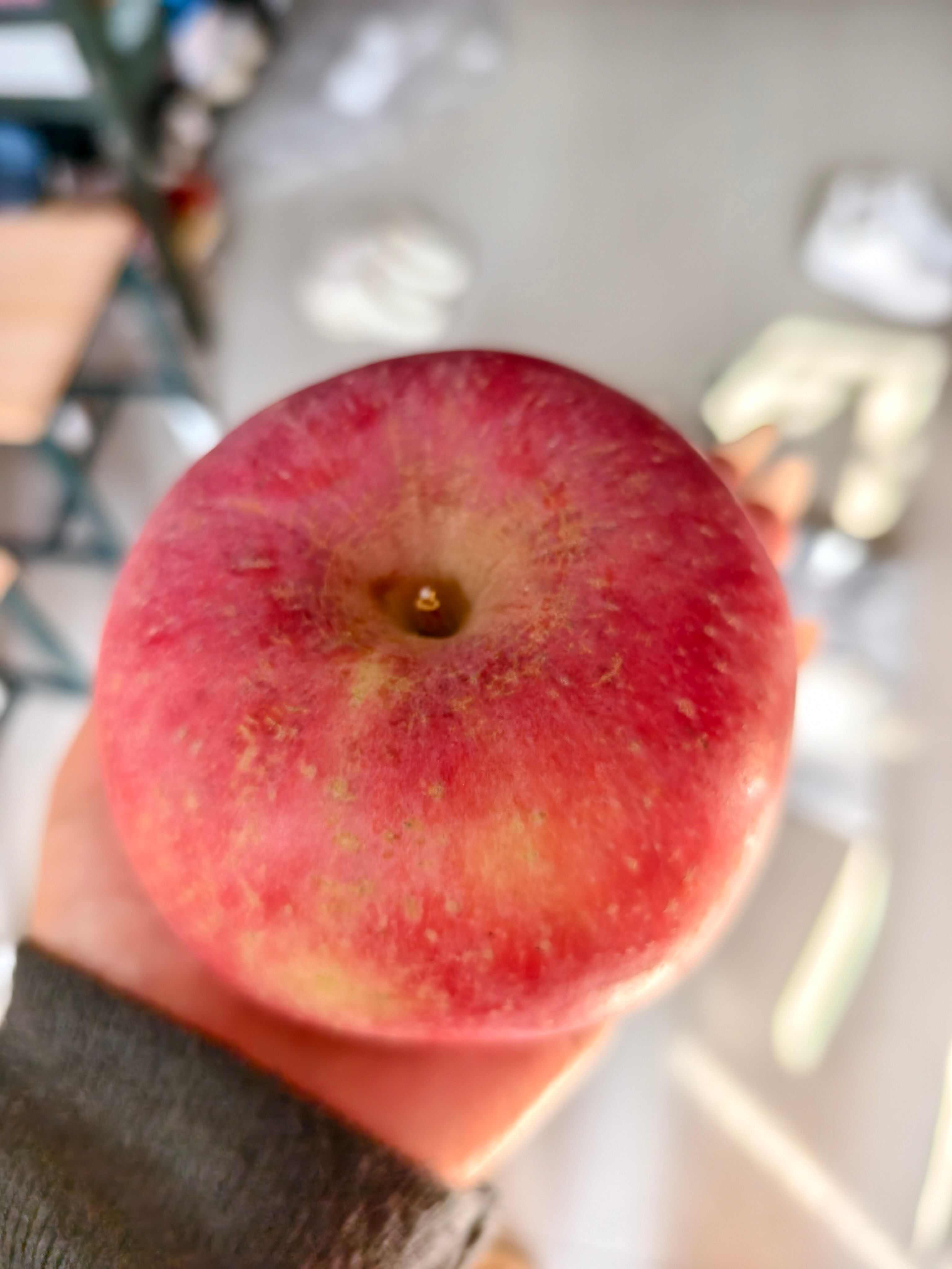 山东烟台栖霞苹果 新鲜采摘核果类水果