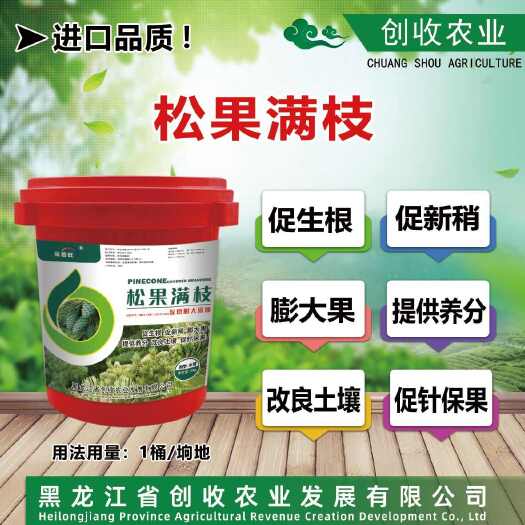 哈尔滨松果满枝