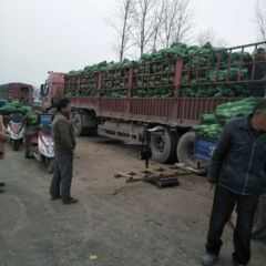 周口2025新鲜青皮白萝卜量大，价格优惠