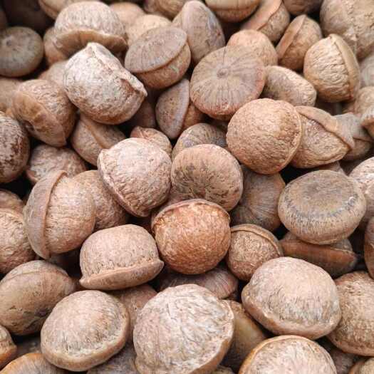 佛冈县本地风流果，薄壳厚肉