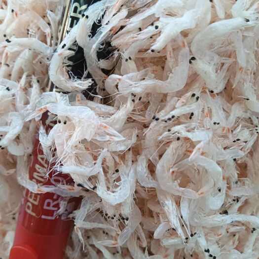 日照咸虾皮！厂家直销！大量现货！价格实惠！电商实体批发！