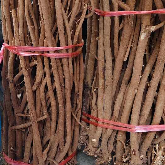 玉林千斤拔，中药材千斤拔