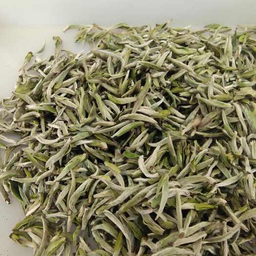 福安市白茶白毫银针高山老白茶寿眉白牡丹散装2023年