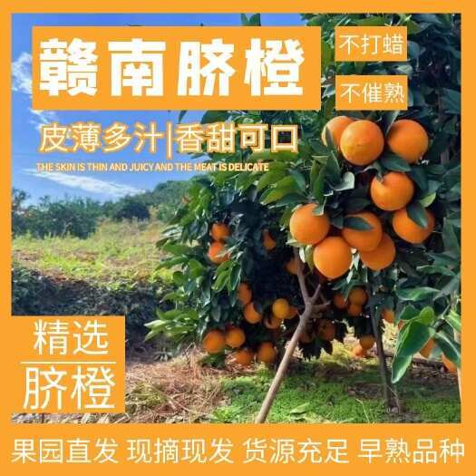 安远县安远直采！现摘现发赣南脐橙，新鲜直达，每一口都是阳光的味道！