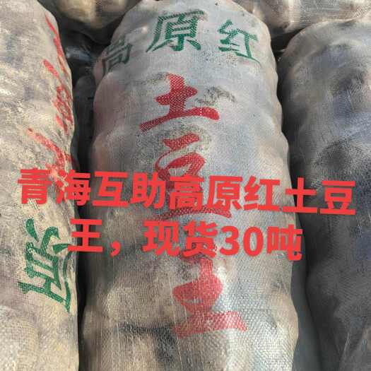 互助县青海省互助县高原红土豆王，精品A级，单个最小250g以上