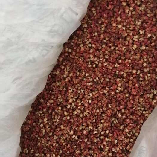 合阳县大红袍花椒