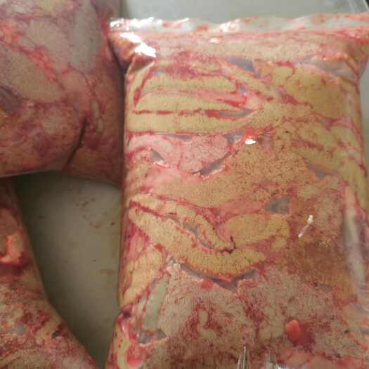 新乡河南新乡鲜鲤鱼籽水产批发