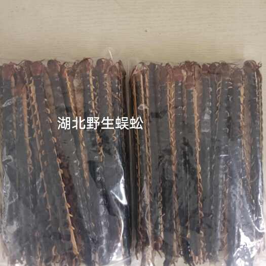 广水市金头蜈蚣