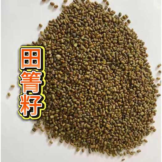 淮南田青种子别名碱菁涝豆耐涝耐旱盐碱土壤改良牧草果园固氮绿肥种籽