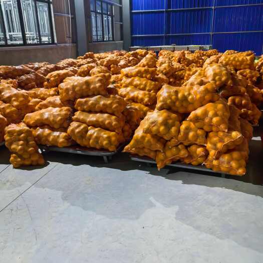 汉川市赣南脐橙现货30000斤