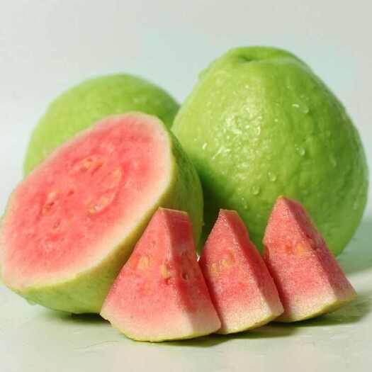 南靖县红心芭乐(福建) 现摘发货，3斤5斤包邮，产地全年批发