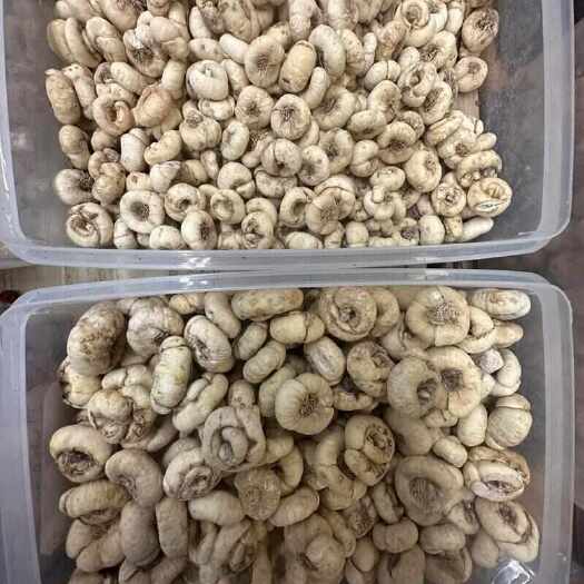 三门峡平贝母无硫手选货，蒸梨打粉