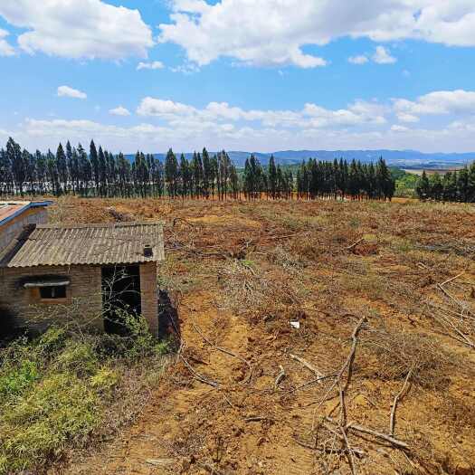 寻甸县寻甸80亩土地出租