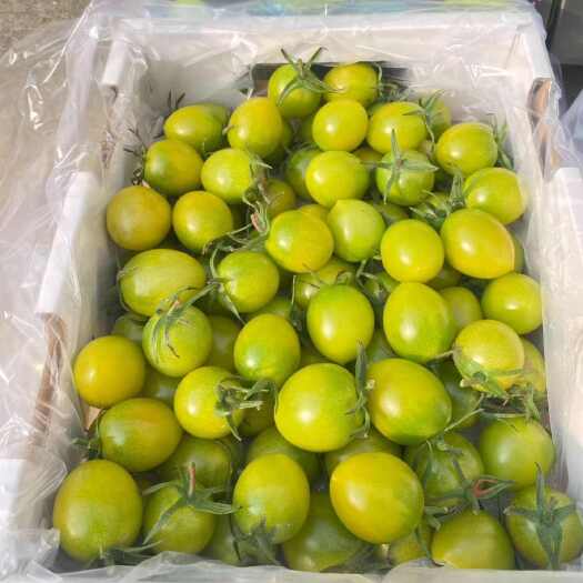 寿光市青甜2号小番茄