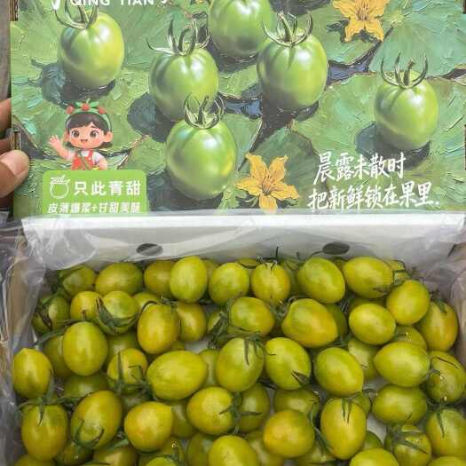 寿光市青甜2号小番茄