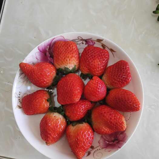 商丘新鲜奶油草莓，欢迎采购！