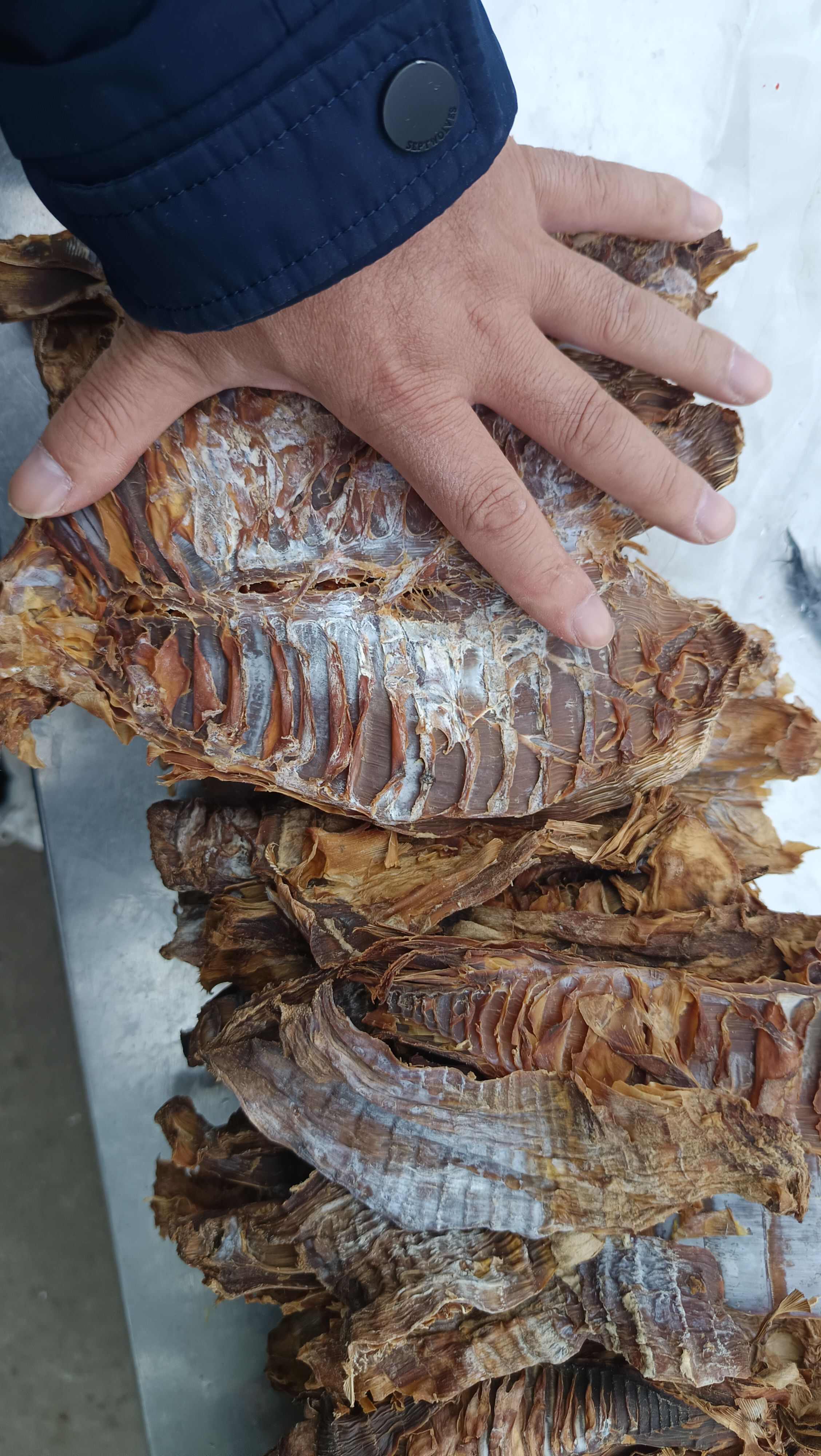 农家小炒肉笋干，包饺子、做包子很棒