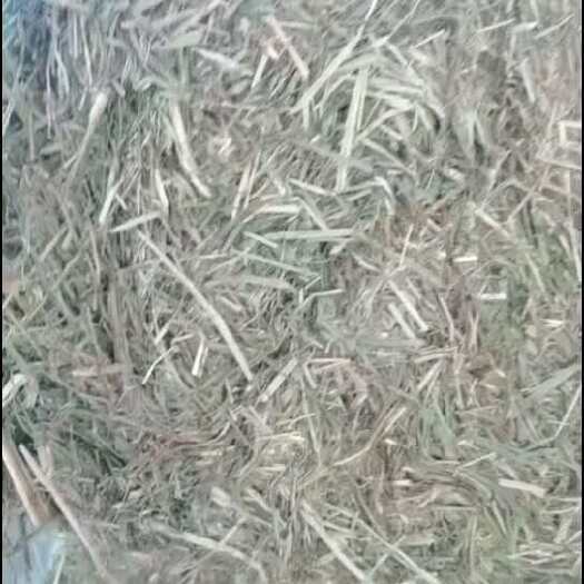 黄骅市优质青干草出货