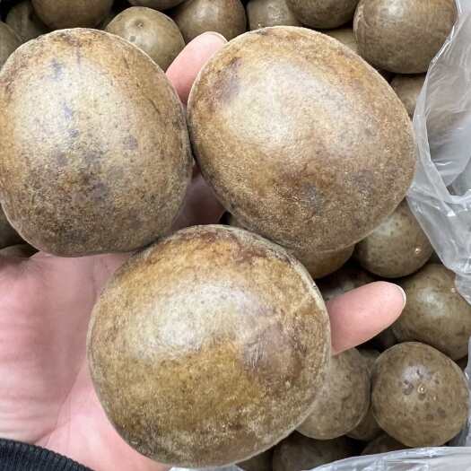 东莞市罗汉果产地直销！（新货上市）