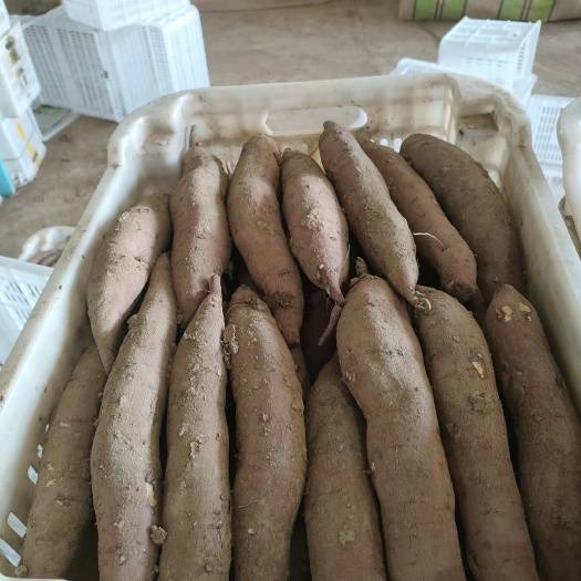 洪洞县纯红薯淀粉