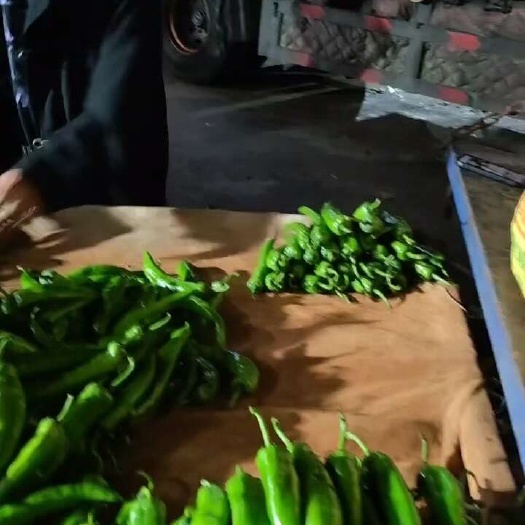 徐闻县湛江鲜辣椒，大量现货欢迎各位平台大佬