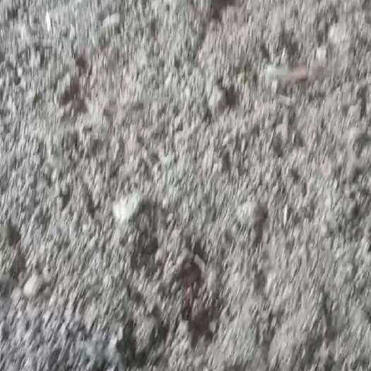 清远，鸡屎，鸡粪，，结块，粉状
