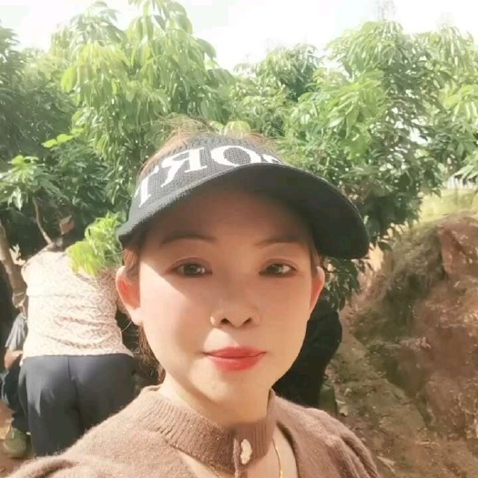 灵山县桂味荔枝苗  桂味荔枝压枝杯苗  嫁接苗 品种 结果快