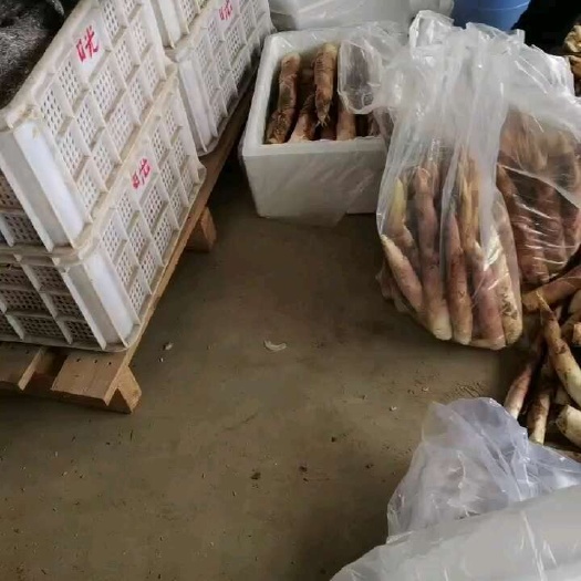 建瓯市精品竹笋，企业加工，平台电商，社区团购货源充足，物流方便。