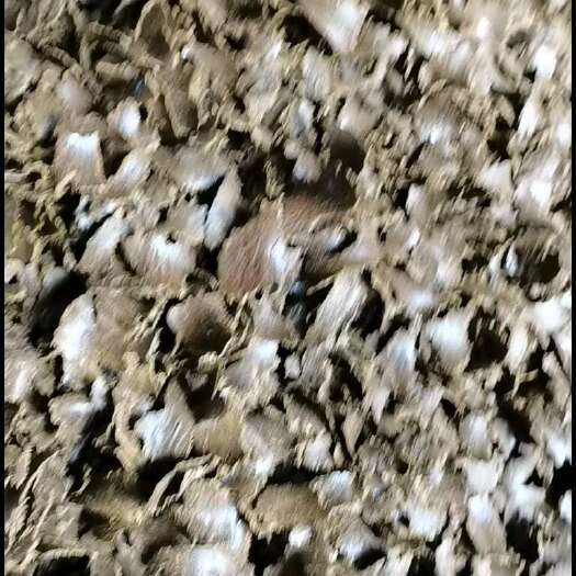 郓城县我是山东菏泽明扬油厂的，销售纯真棉籽饼，质量稳定，货源充足