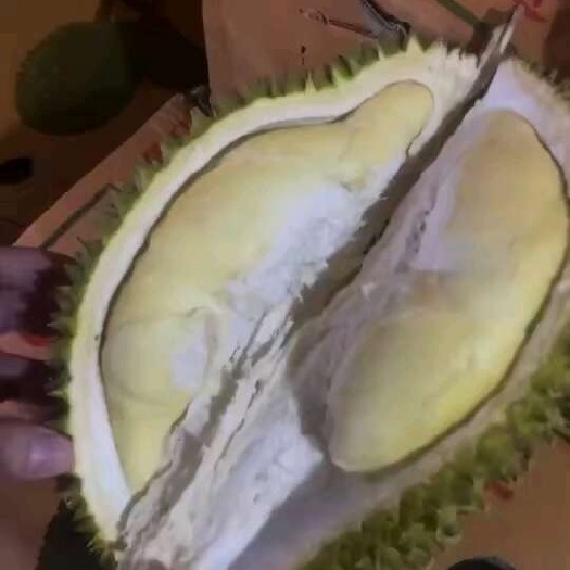 南宁金枕