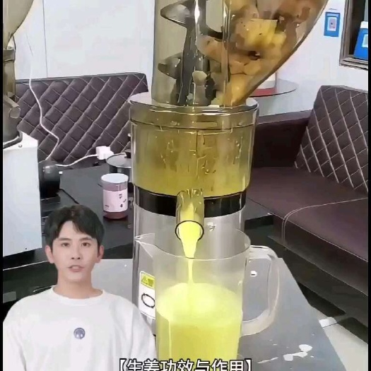 佛山生姜榨汁机商用螺旋榨汁机