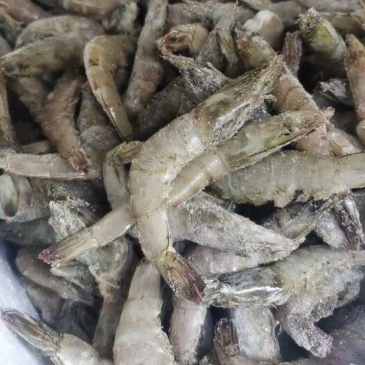 魏县养殖大虾，新货