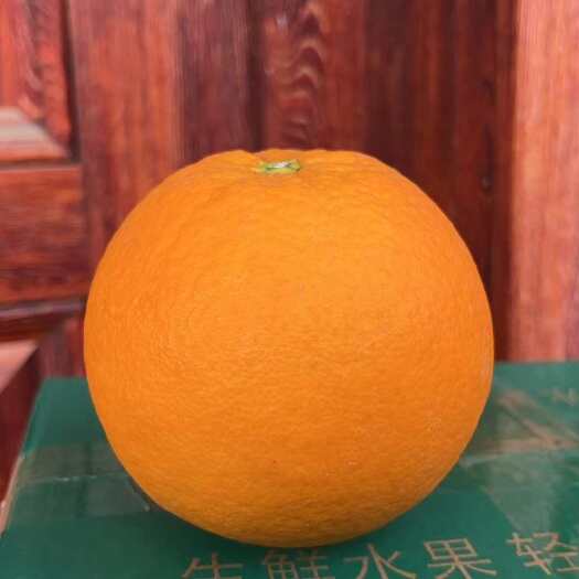 新宁县红心脐橙