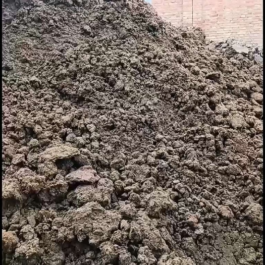 西安牛粪