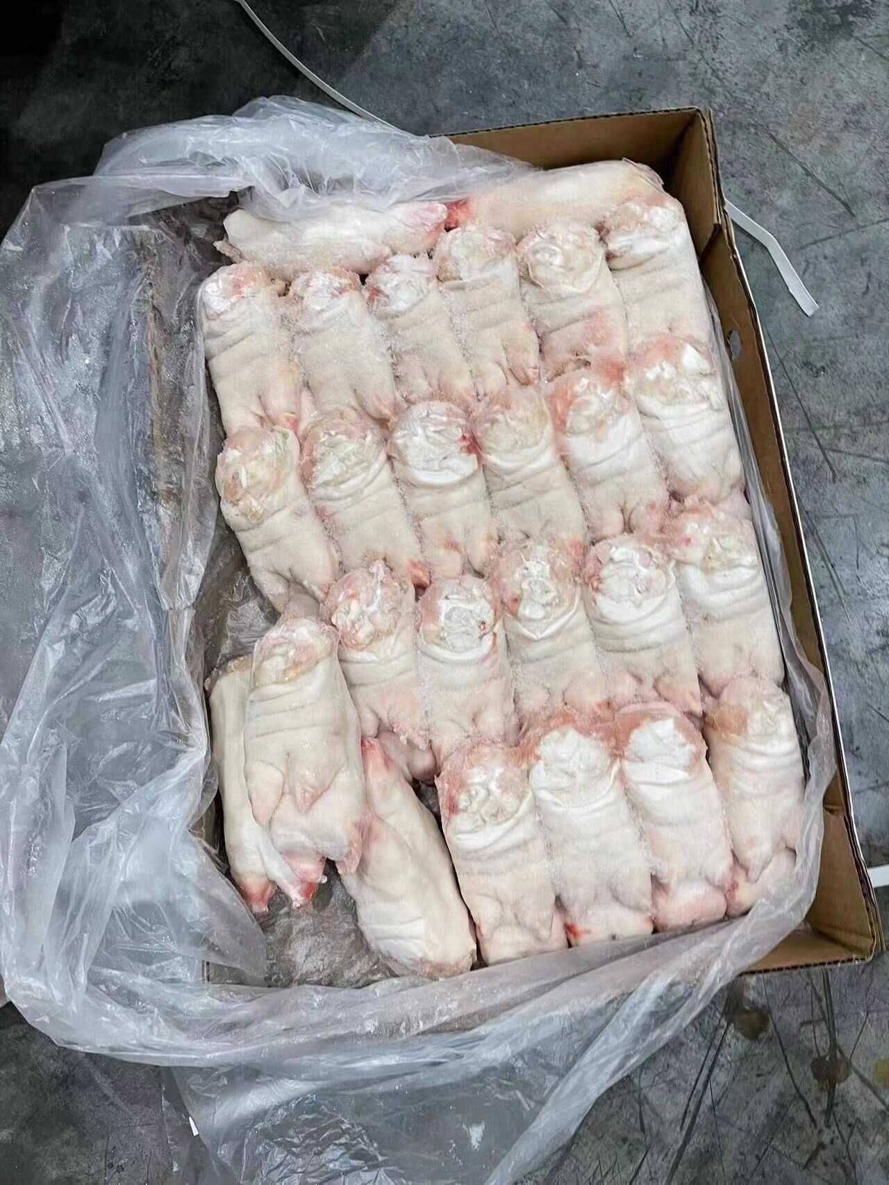新正天豬副