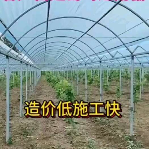 天津大棚