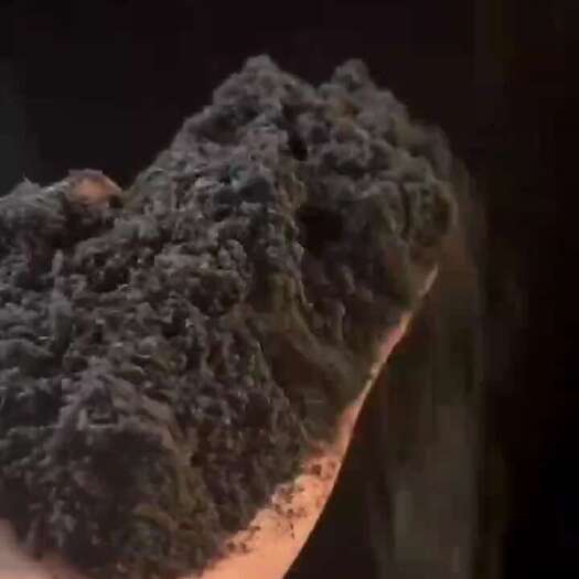 东营中国最大的育肥羊基地，发酵纯羊粪