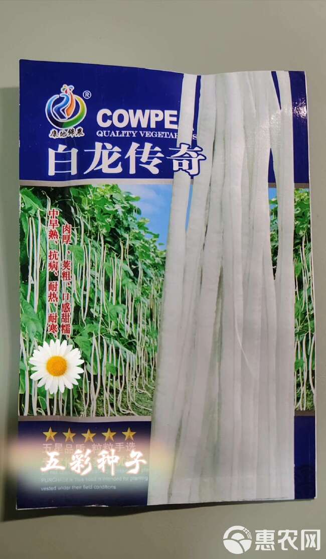 白豇豆种子