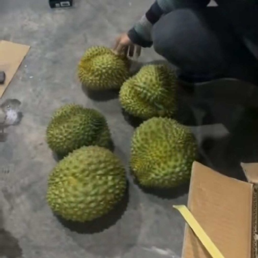 南宁金枕