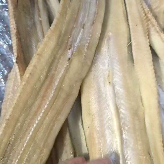舟山鳗鱼鲞。油鳗鲞。沙鳗鲞