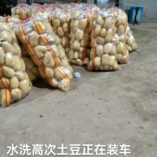 水洗土豆