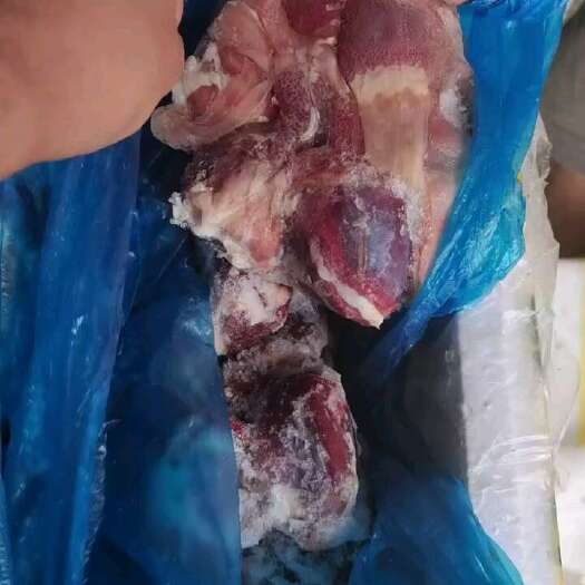 佛山鹅肾