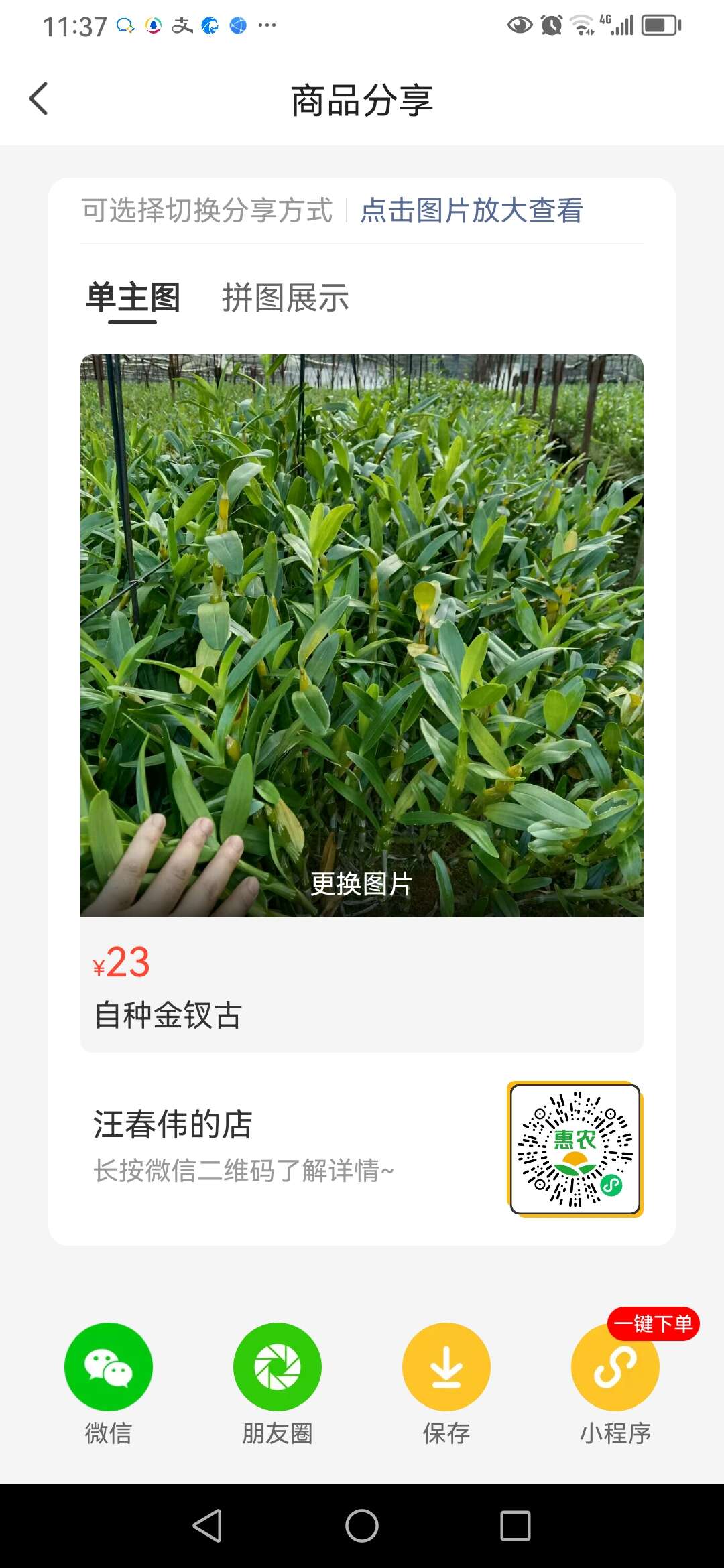 汪春偉的店