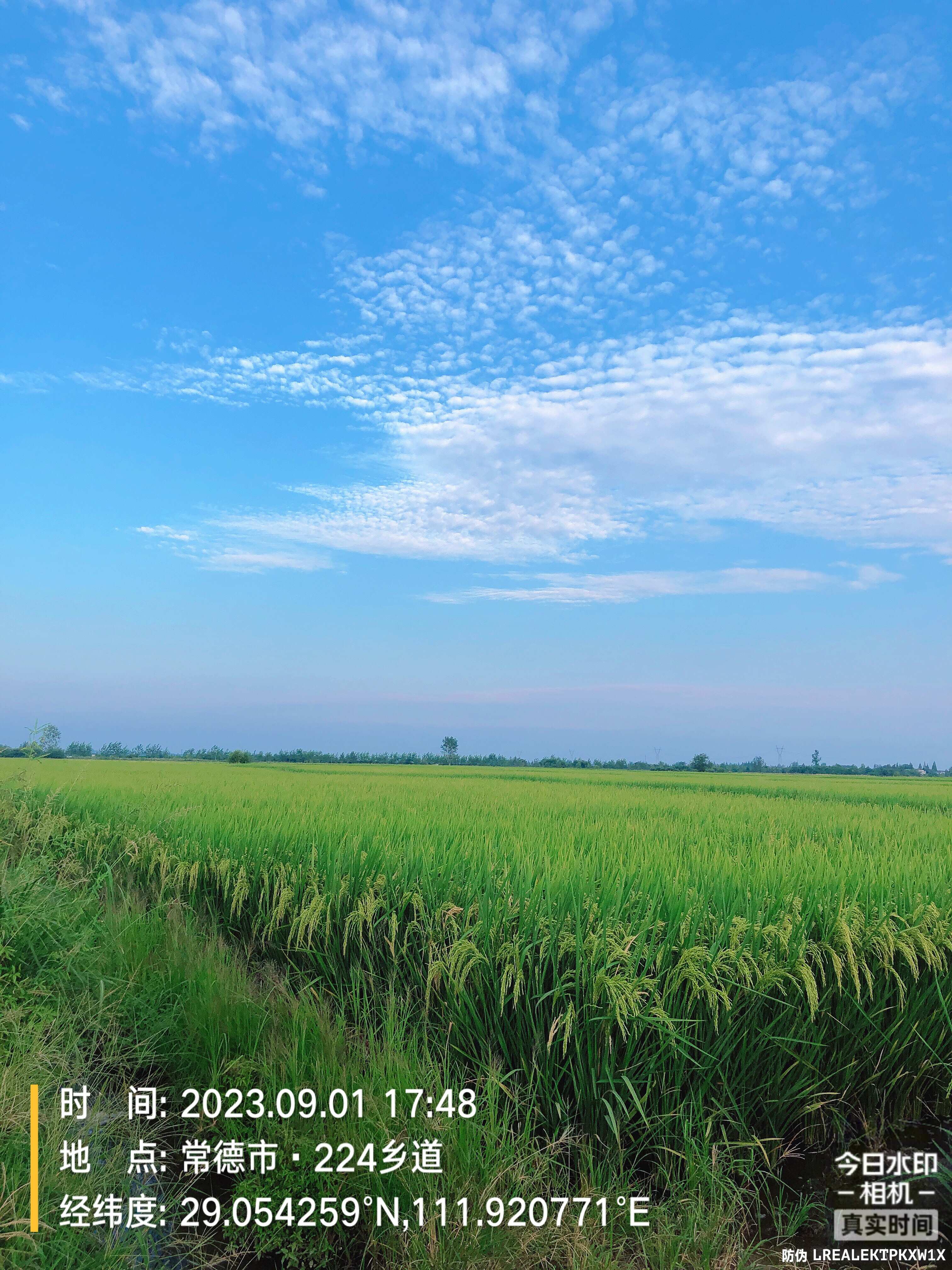 惠民耘添種業(yè)
