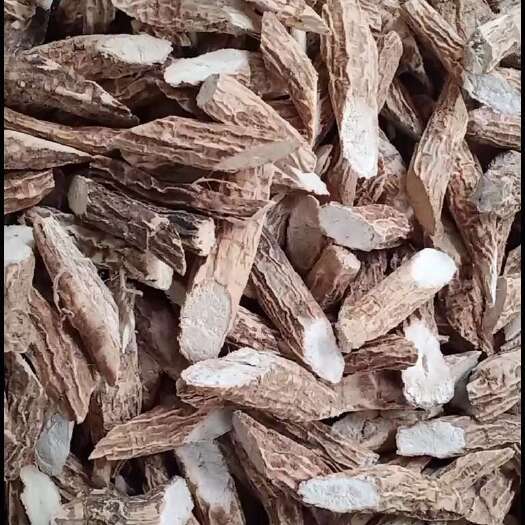 玉林无硫牛大力中药材货源充足量大忧惠