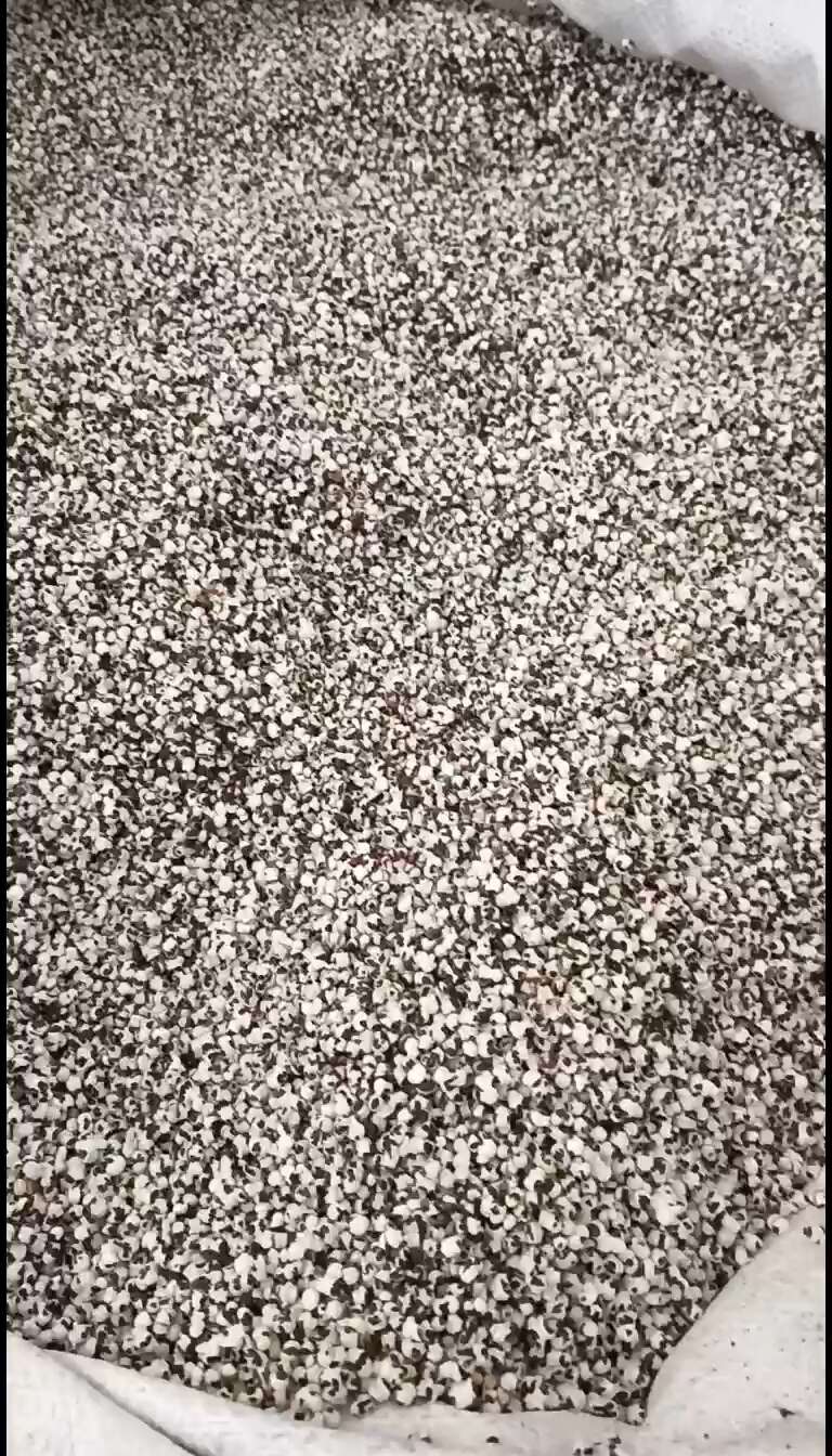 【热卖新品】王不留行 王不留 现货供应 药材批发 量大优惠