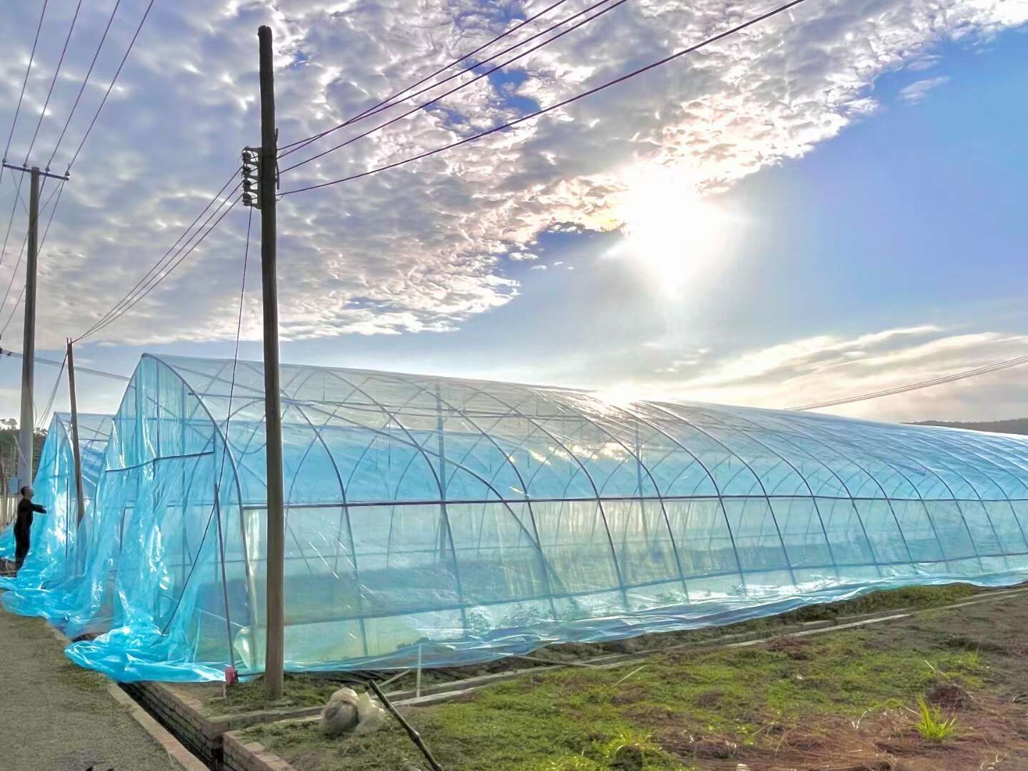 濰坊沃力臣生物科技