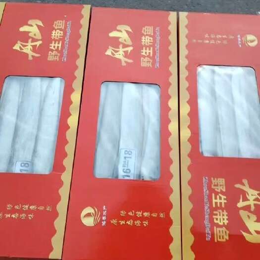天津带鱼真漂亮