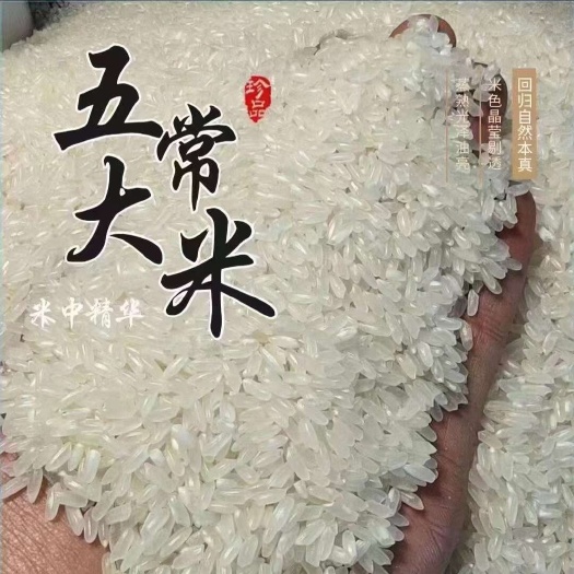 五常稻花香陪伴新老客户过春节，货源充足，欢迎各位老板选购吧