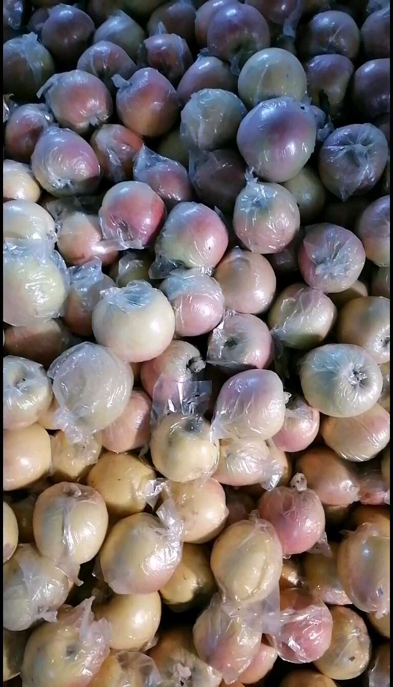 膜代红富士苹果